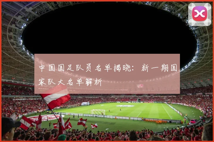 中国国足队员名单揭晓：新一期国家队大名单解析