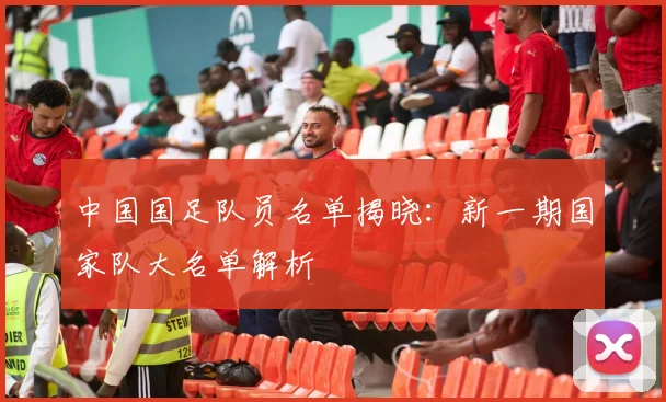 中国国足队员名单揭晓：新一期国家队大名单解析