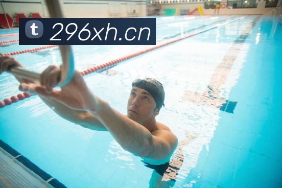 bat365在线官网-登录入口平台生态图